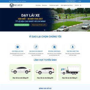 Mẫu website dạy lái xe 02