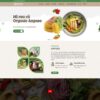 Mẫu website thực phẩm sạch 27