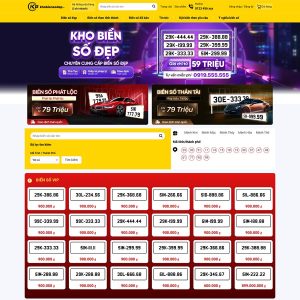 Mẫu website mua bán biển số đẹp, có dịch biển số xe